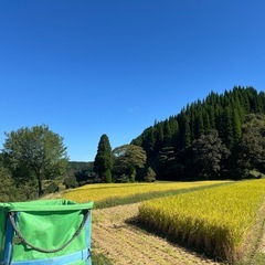 令和7年度 ヒノヒカリ 玄米 30kg　山都町産　の画像