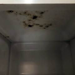 YUASAPRIMUS  電子レンジ  60Hz専用の画像