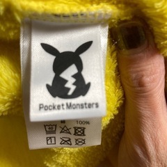 ピカチュウ ポケモン アウターの画像