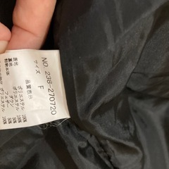 ダウンジャケット、膝まで隠れるの画像