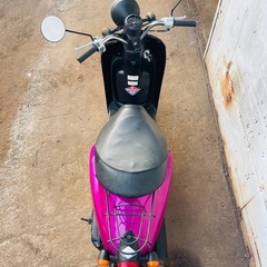 HONDA todayの画像