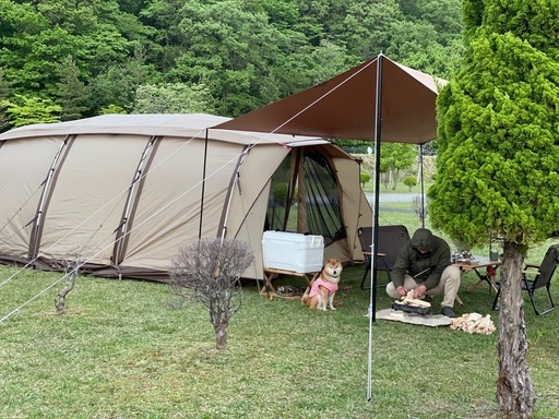 ogawa テント　アポロン　キャンプ