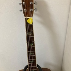 thumb W400 寺田楽器　ハカランダ　ドレッドノートの画像