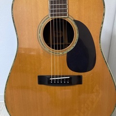 thumb W400 寺田楽器　ハカランダ　ドレッドノートの画像