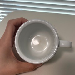 サムズ　カップの画像