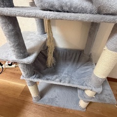 きゃっキャットタワーの画像