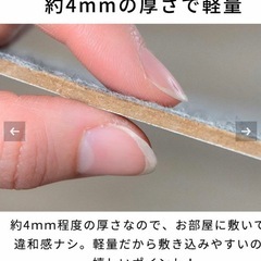 6畳　ウッドカーペット　ブラウンの画像