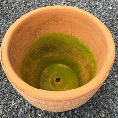 大きい植木鉢の画像
