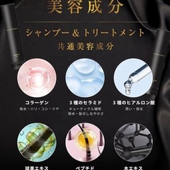 【4本セット】シルクザリッチ 黒　SILK THE RICH ブラック　シャンプー  スカルプケア スカルプ＆リペア
の画像