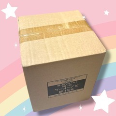 チイカワ　スノードーム　未開封品の画像