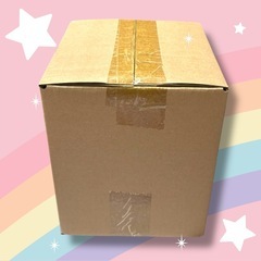 チイカワ　スノードーム　未開封品の画像