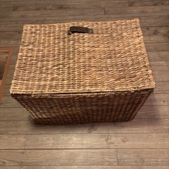 ウォーターヒヤシンス スクエアバスケットの画像