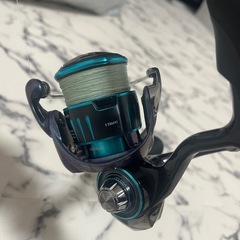 19日までエメラルダスリール の画像