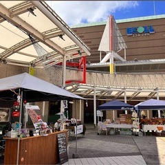 【11/9】メダカすくい&販売！　アムゼ広場(和泉中央駅直結) - 地域/お祭り