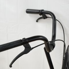 ADUANCE 26インチ その他車体の画像