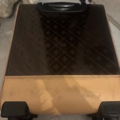 お洒落なキャリーケースの画像