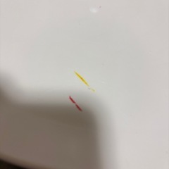 【
決まりました】バンボの画像