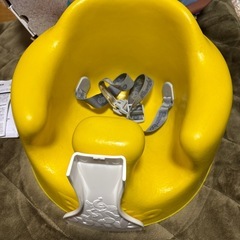 【
決まりました】バンボの画像