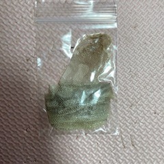 蛇の抜け殻　縁起物　お守りの画像