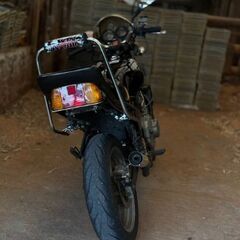 ジェイド250の画像