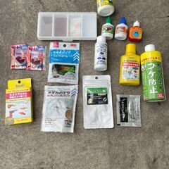熱帯魚ベタ用飼育セットの画像