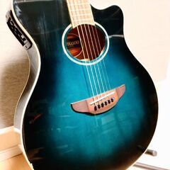 【エレアコ】YAMAHA APX600の画像