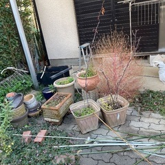 植木鉢、プランター などの画像