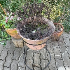植木鉢、プランター などの画像