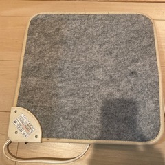 早い者勝ち！ 電気ミニマットの画像