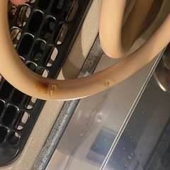 ガスコンロ　リンナイ　都市ガスの画像