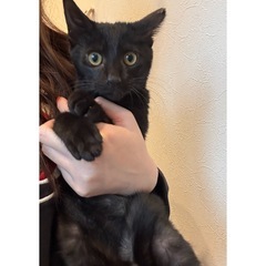 生後4ヶ月 男の子🖤⟡.·