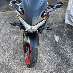 CBR250R MC41前期　自賠責残の画像