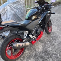 CBR250R MC41前期　自賠責残の画像