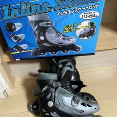 インラインスケート ローラースケート灰色の画像