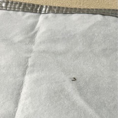 フロントボンネットカバー (一般車用-PT-Mサイズ)の画像