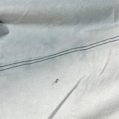 フロントボンネットカバー (一般車用-PT-Mサイズ)の画像