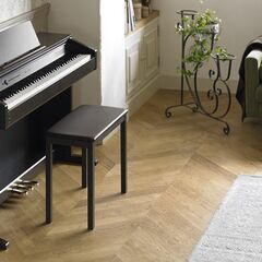 CASIO CELVIANO AP-260 電子ピアノの画像