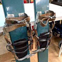 秀岳荘 ゾンメルスキー 150cm アザラシの画像