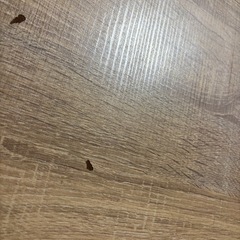 【最終値下げ】【早期引取希望】ダイニングテーブルセット4人掛け(テーブル・ベンチ・イス2脚)の画像