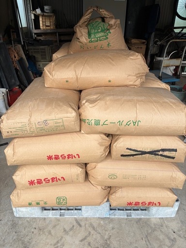 【新米】令和7年産 玄米30kg 低農薬