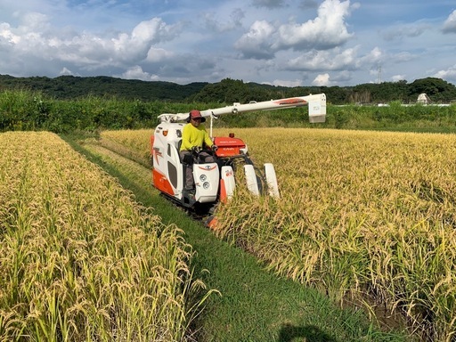 【新米】令和7年産 玄米30kg 低農薬