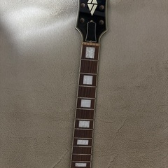 レスポール抜け殻の画像