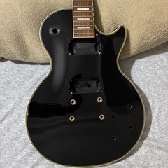 レスポール抜け殻の画像