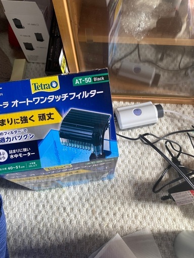 レッドビーシュリンプセット
