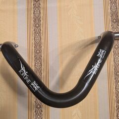 社交ダンス用姿勢矯正器 英国Top LINE社製の画像