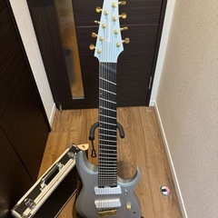 ibanez rgdms8とfender gig bagの画像
