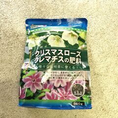 クリスマスローズ　おまけの種つきの画像