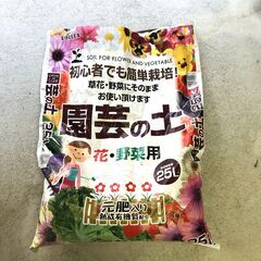 クリスマスローズ　おまけの種つきの画像