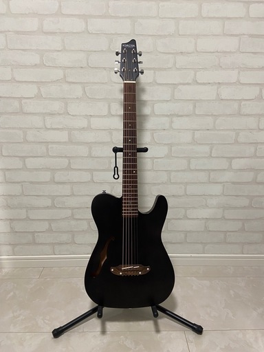 SCHECTER OL-FL STBK エレアコギター