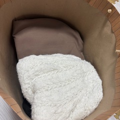 最終値下げ【11/15迄】レディース服Ssizeの画像